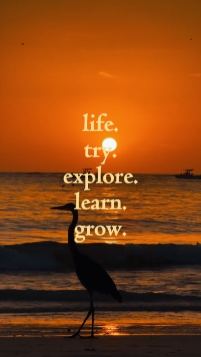 life try explore 