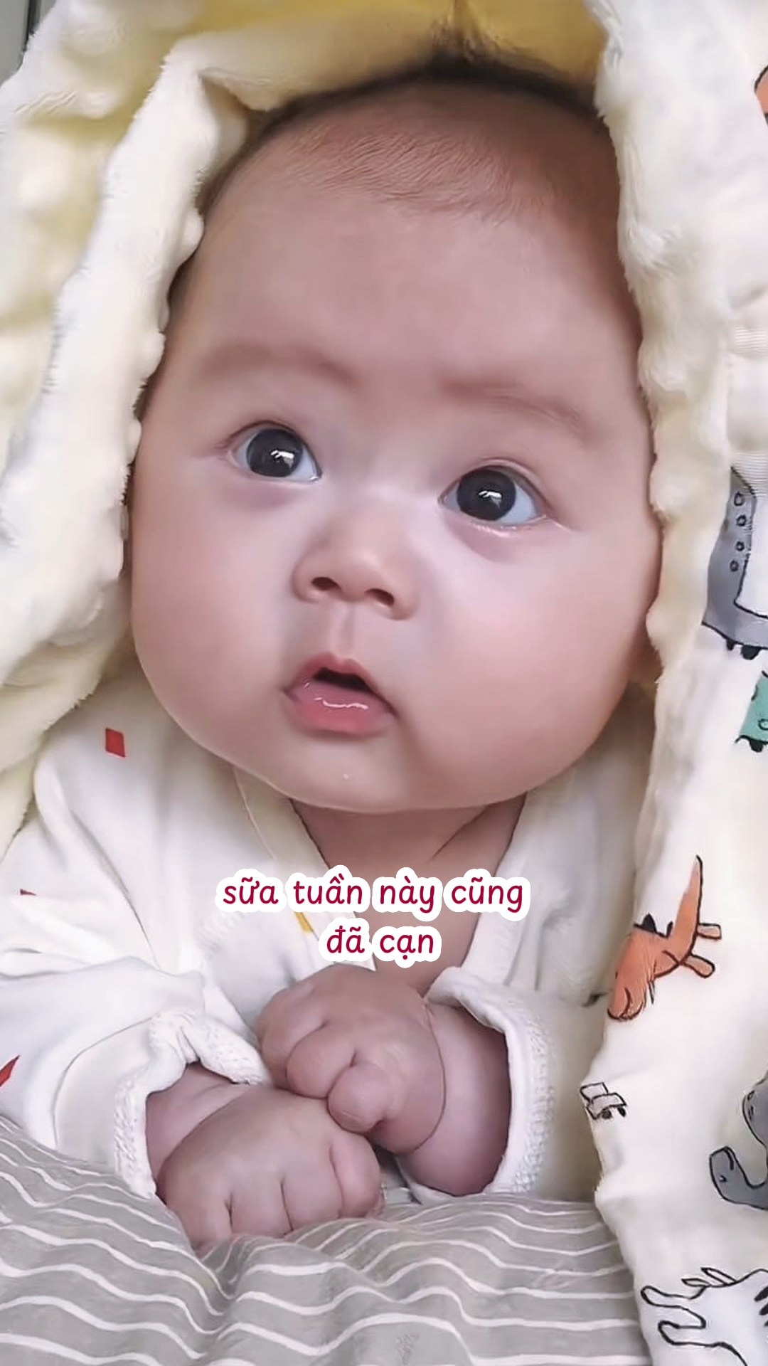 Kính gi biu 