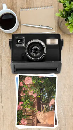 photo printer frame