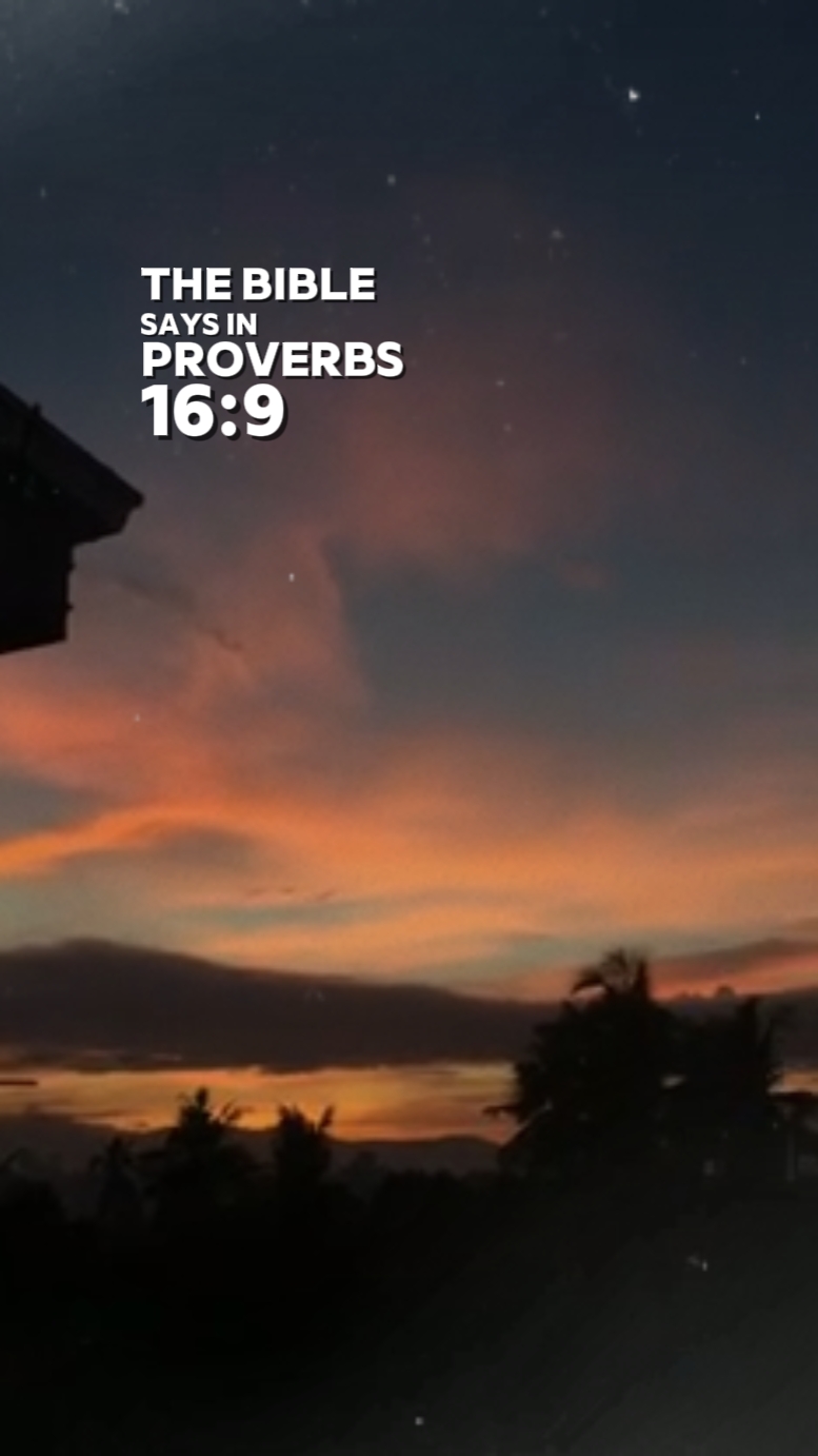 Provérbios 16: 9