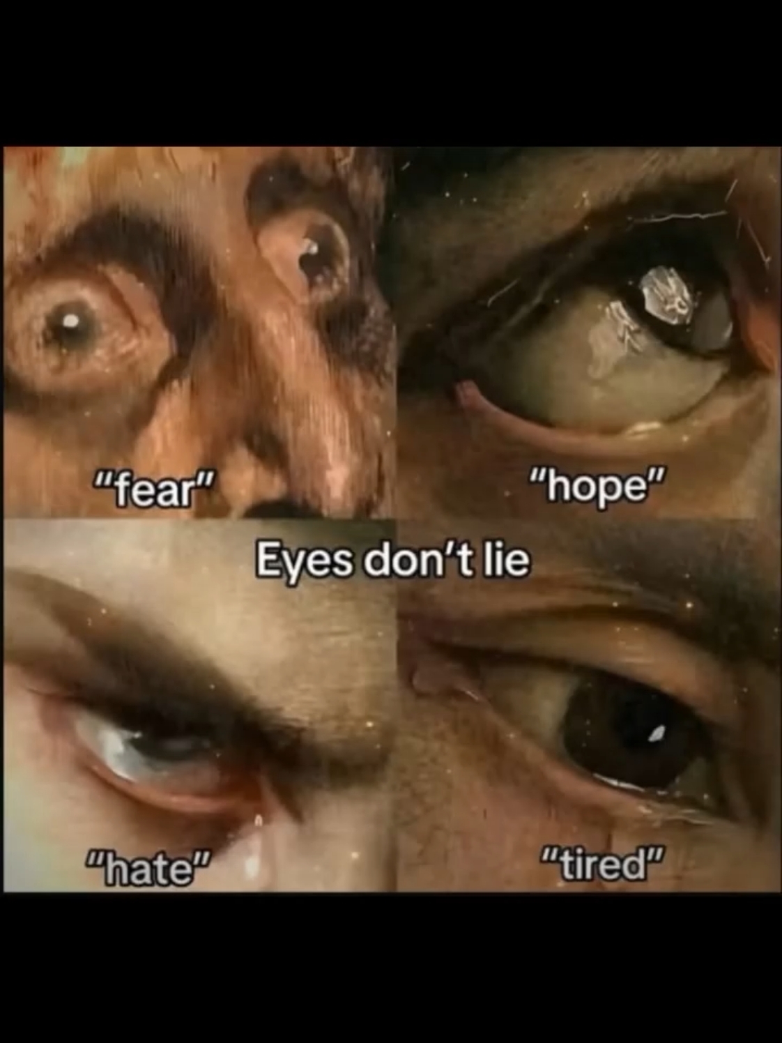 eyes don't lie