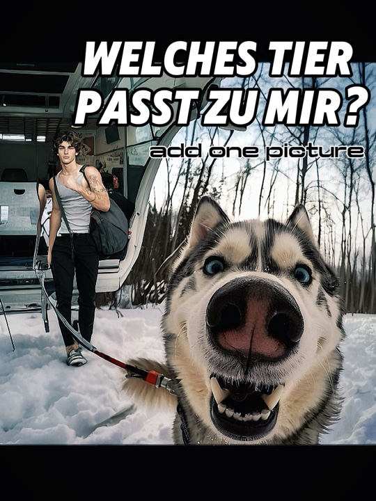 MEIN KRAFTTIER 