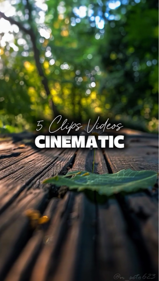 5 Vídeos Cinematográficos
