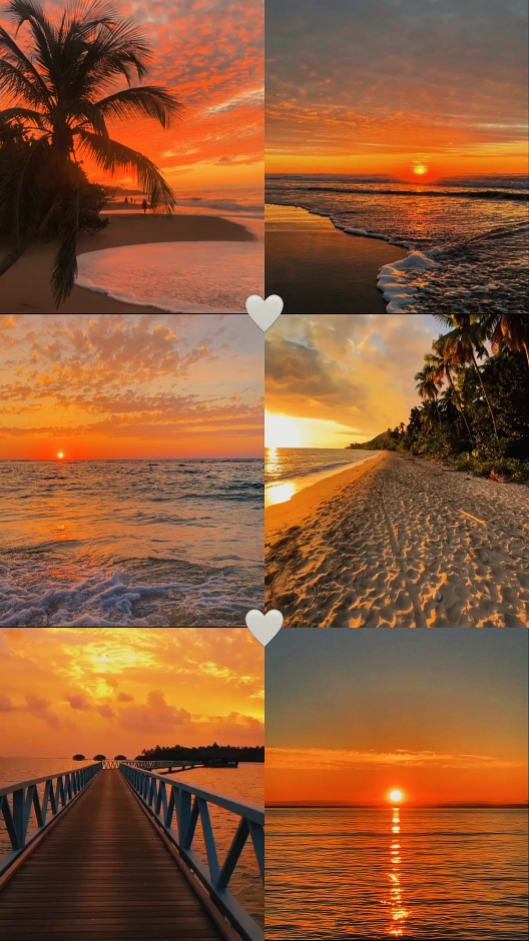 3 photos & 3 videos 