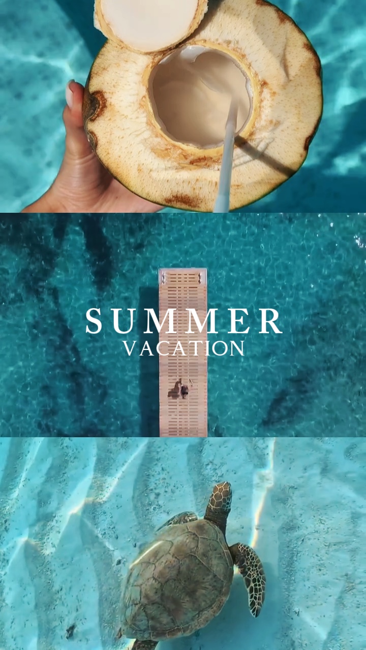 Vacaciones de verano