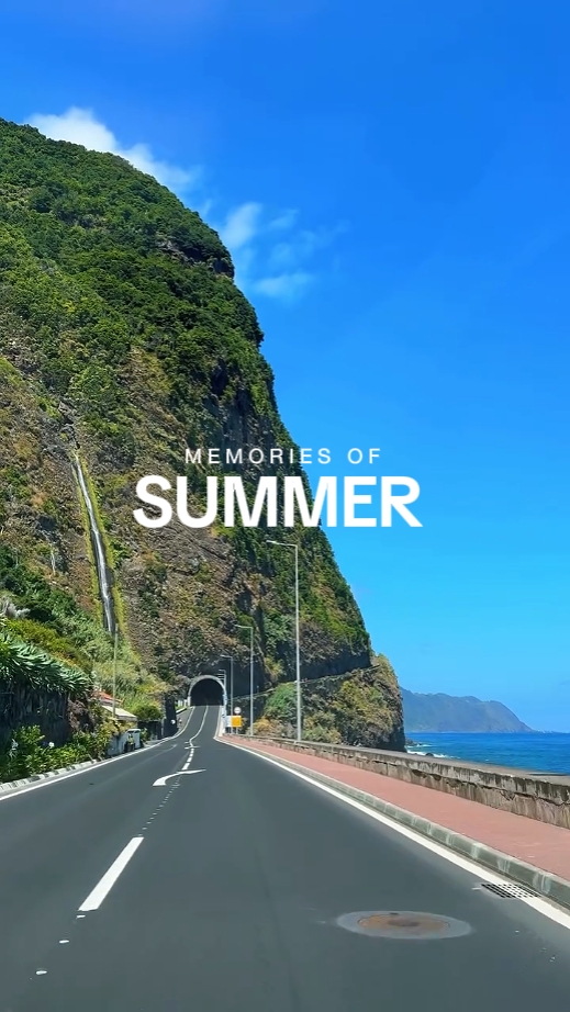 Summer Dump 2025