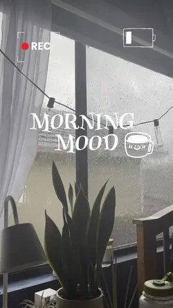 Cozy Rainy Morning