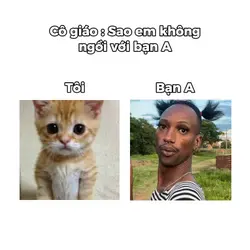 Meme