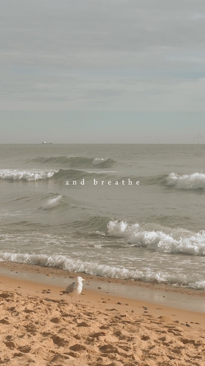 Respira vibraciones tranquilas 