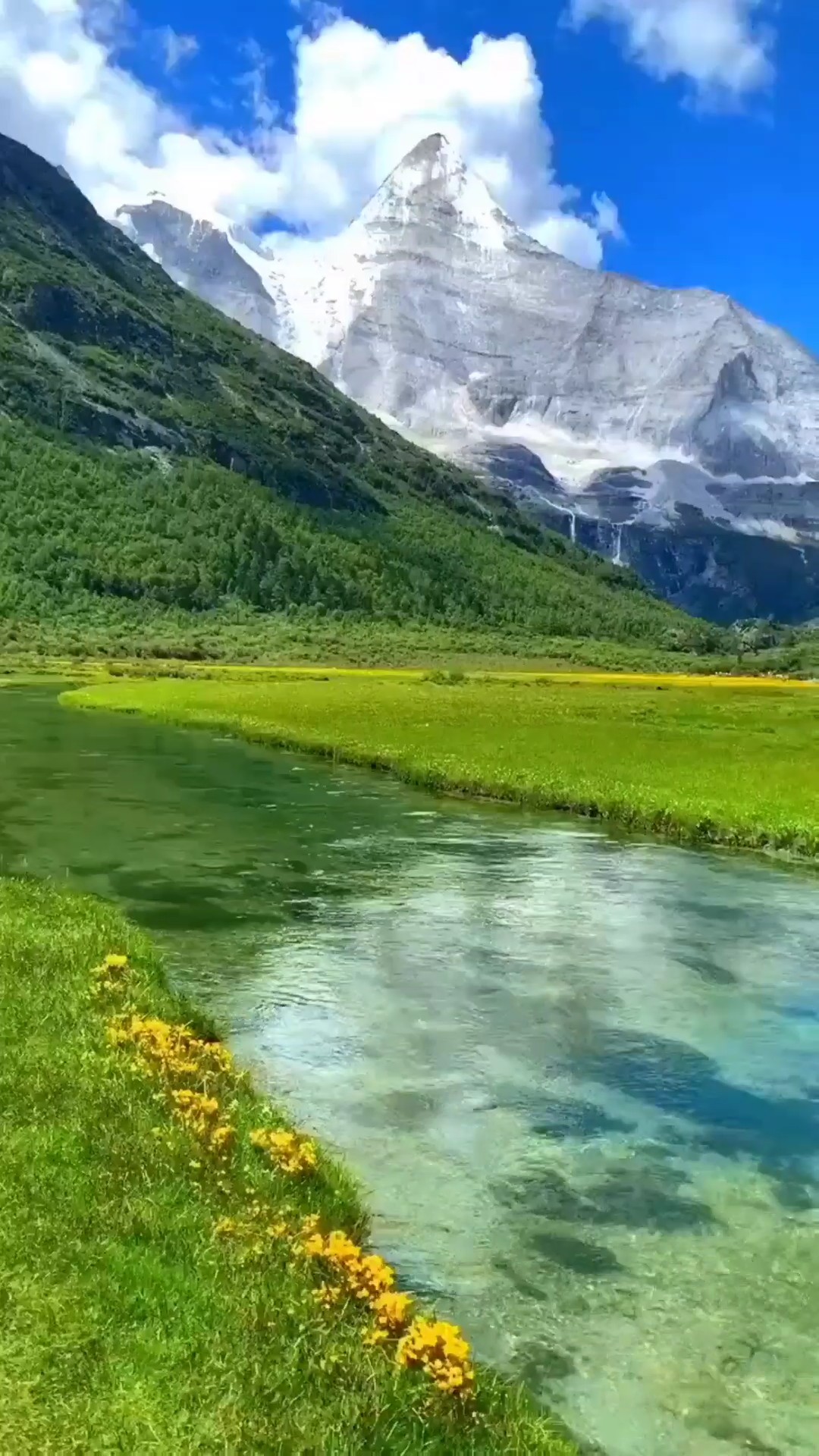 INSPIRACIÓN DE LA MAÑANA 