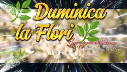 florin348