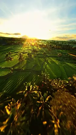 1 video cinematic hd