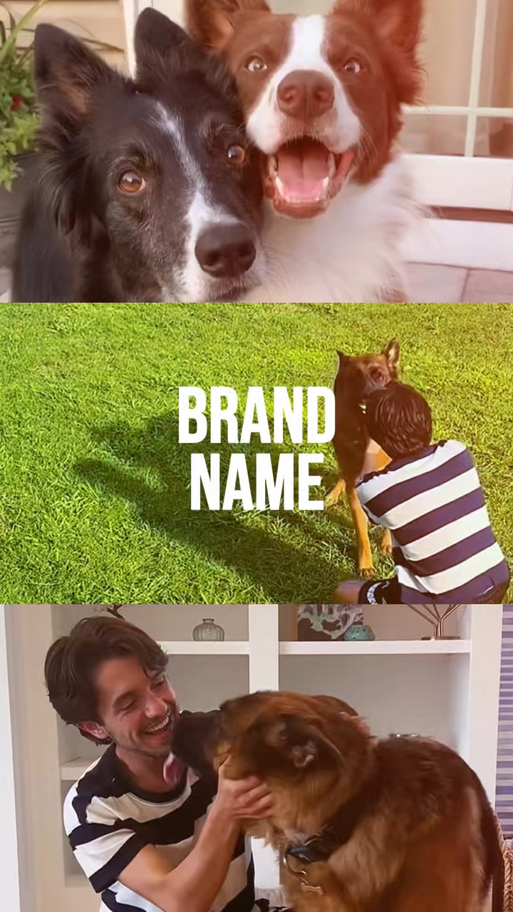 Pet Care