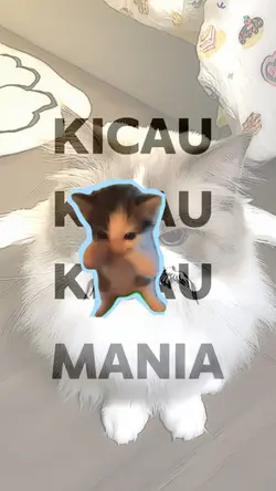 kucing sticker 