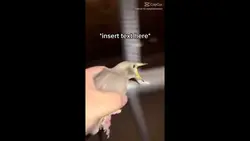 Aaaaaaaaaaaaaaaaaaah