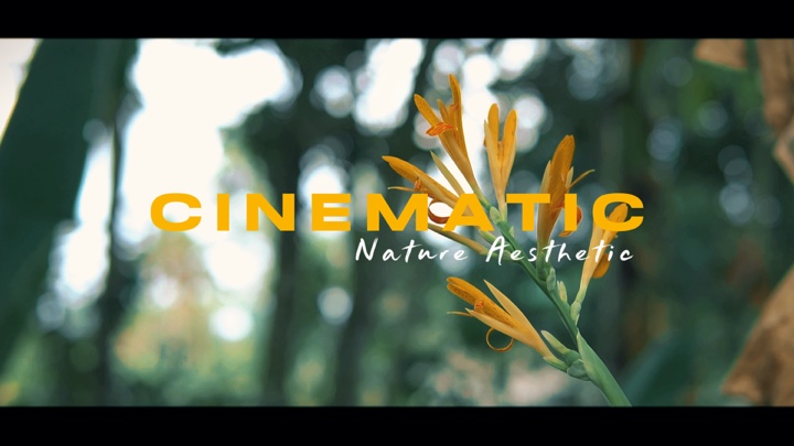 Cinematic Nature Aes