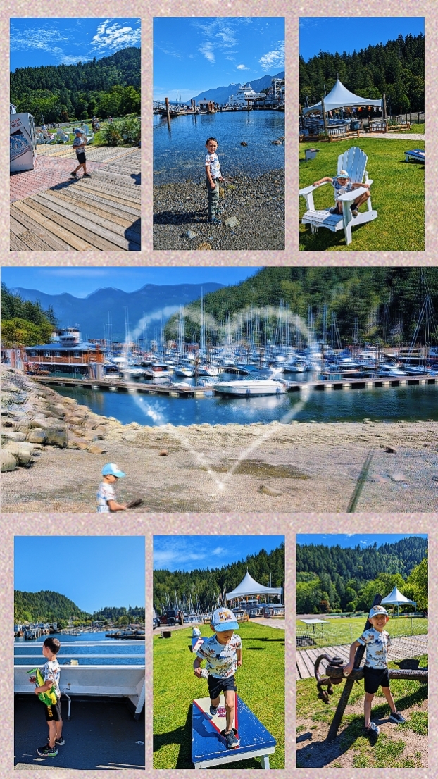 Collage de fotos / videos 