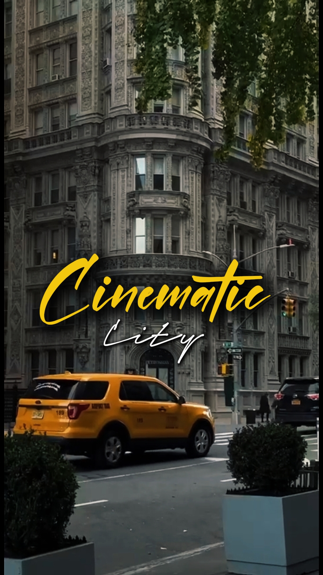5 clips cinematic 