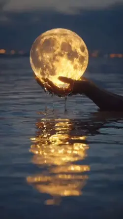 Cosmos
