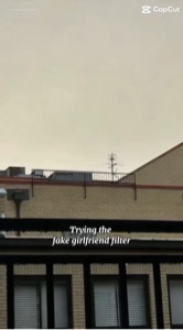 Fake girlfriend filt