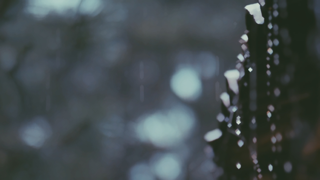 CINEMATIC 