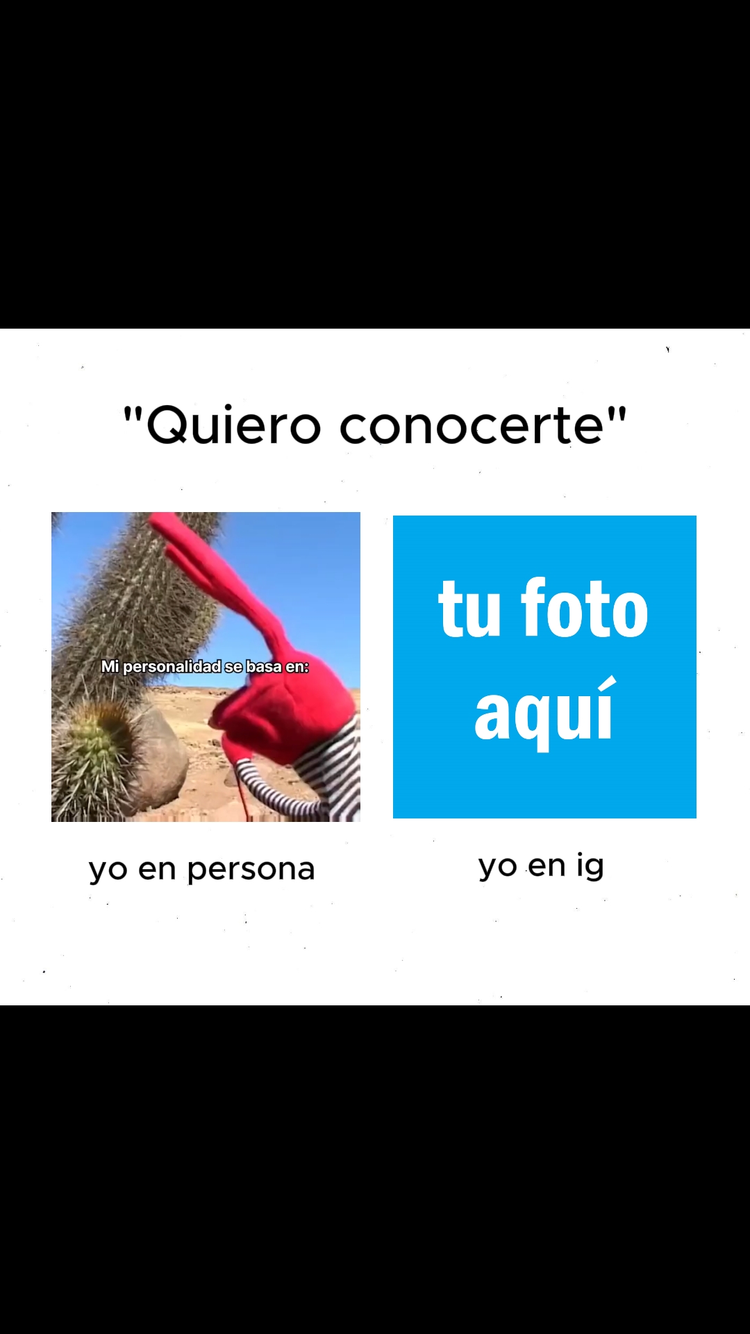 Bodoque