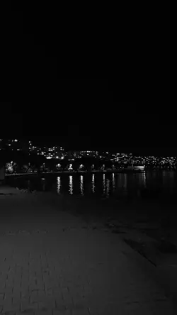 yeni şablon