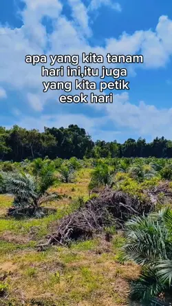 PETANI MUDA
