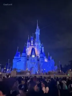Magic holiday