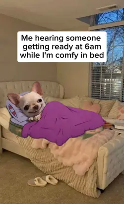 while I'm comfy in b