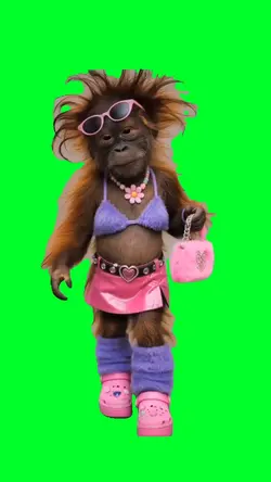 Cute monkey walking