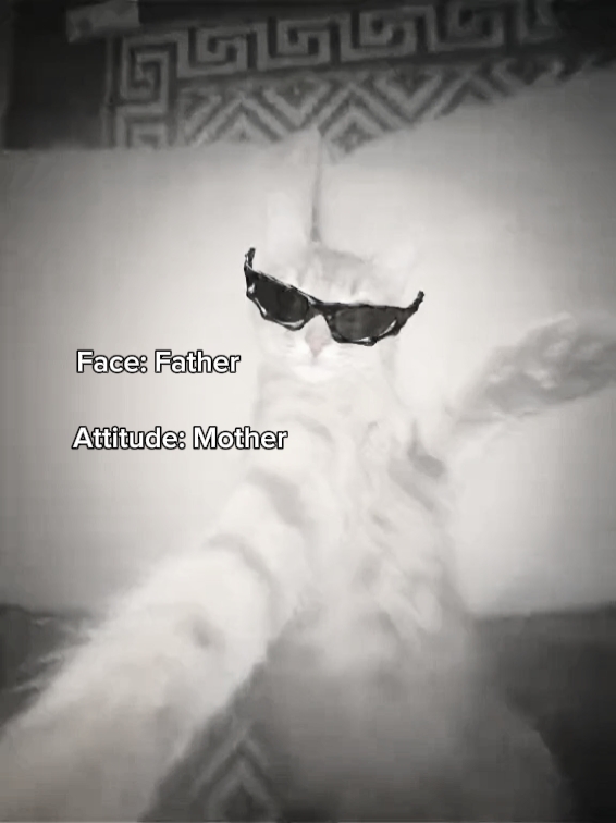face, attitude 