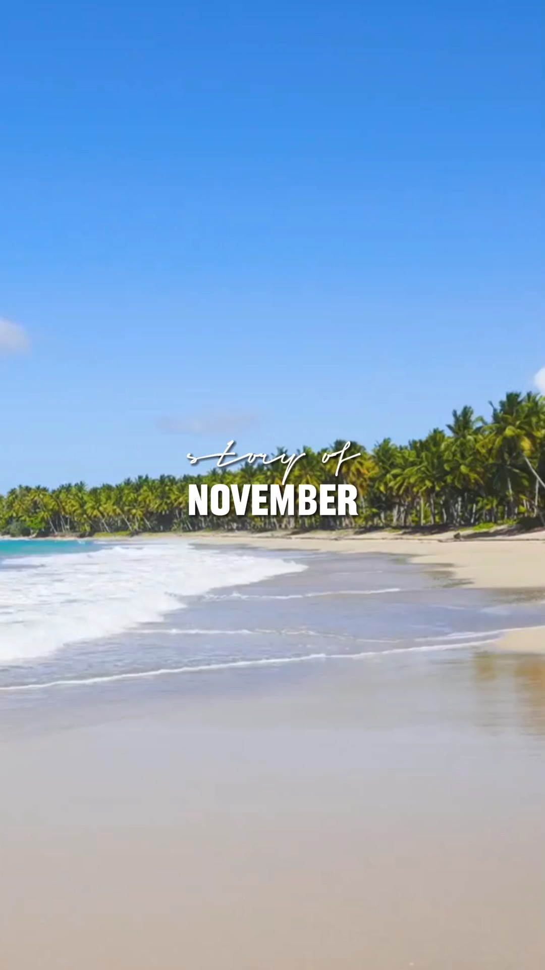 Volcado de noviembre