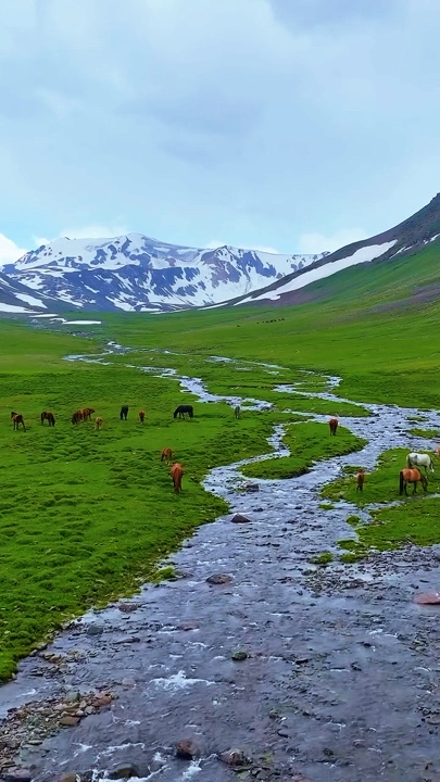 New Templates 2025 