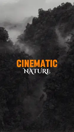 cinematic nature