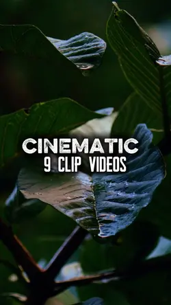 9 clip videos