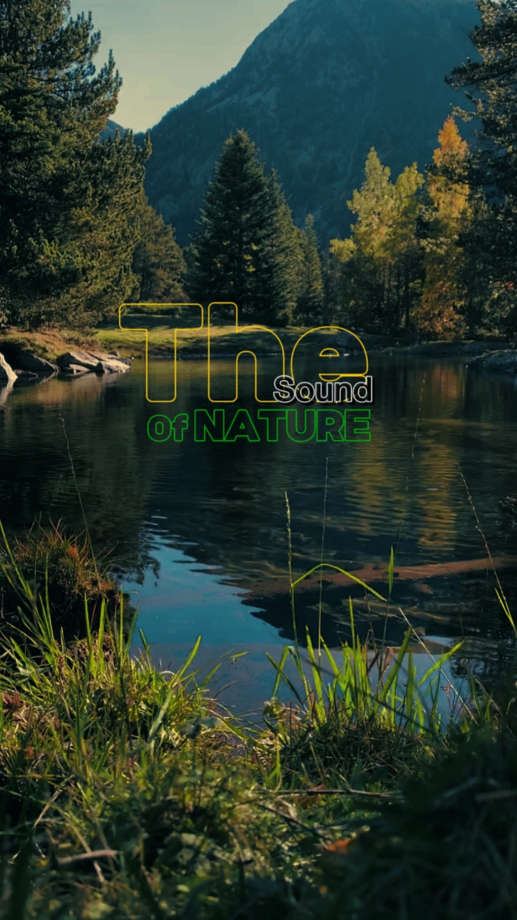 NATUREZA