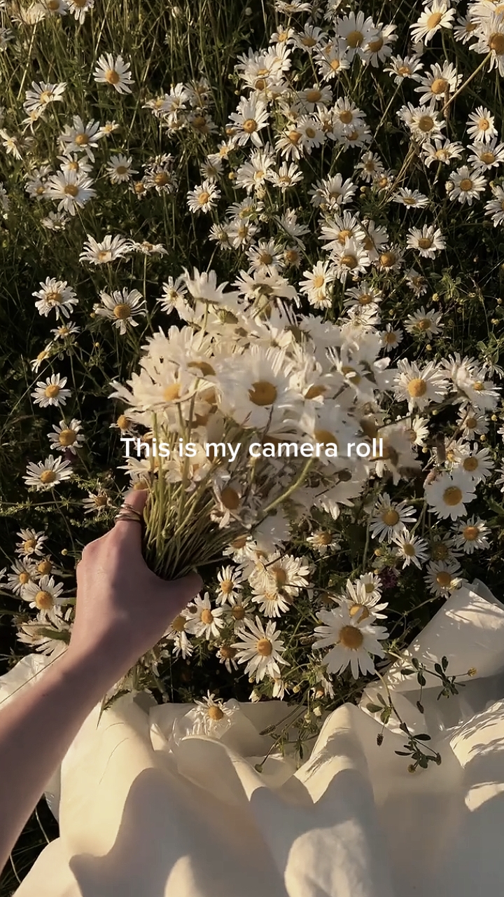 c'est ma caméra 