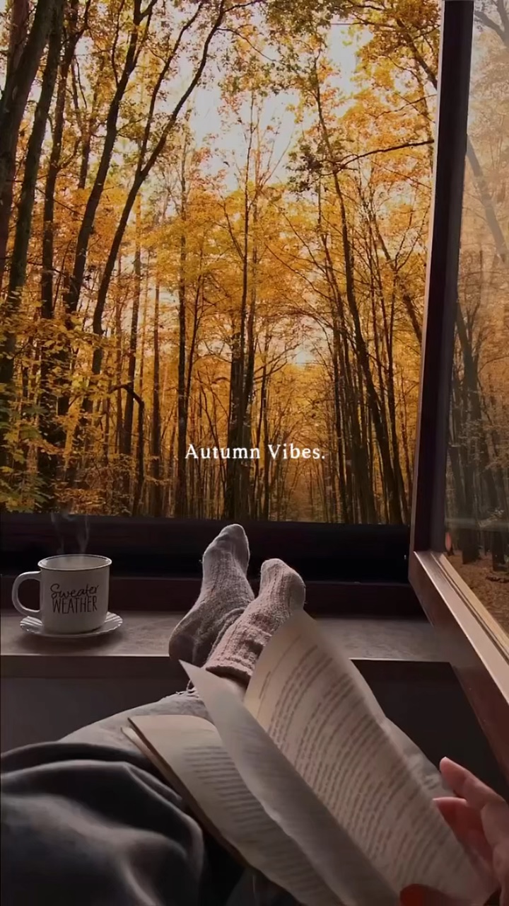 Autumn Vibes