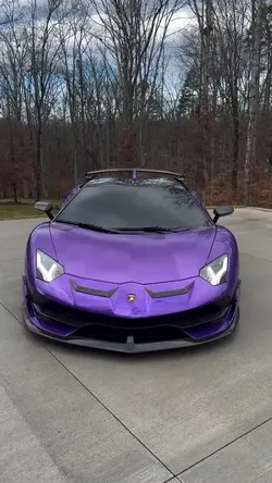 violet motion