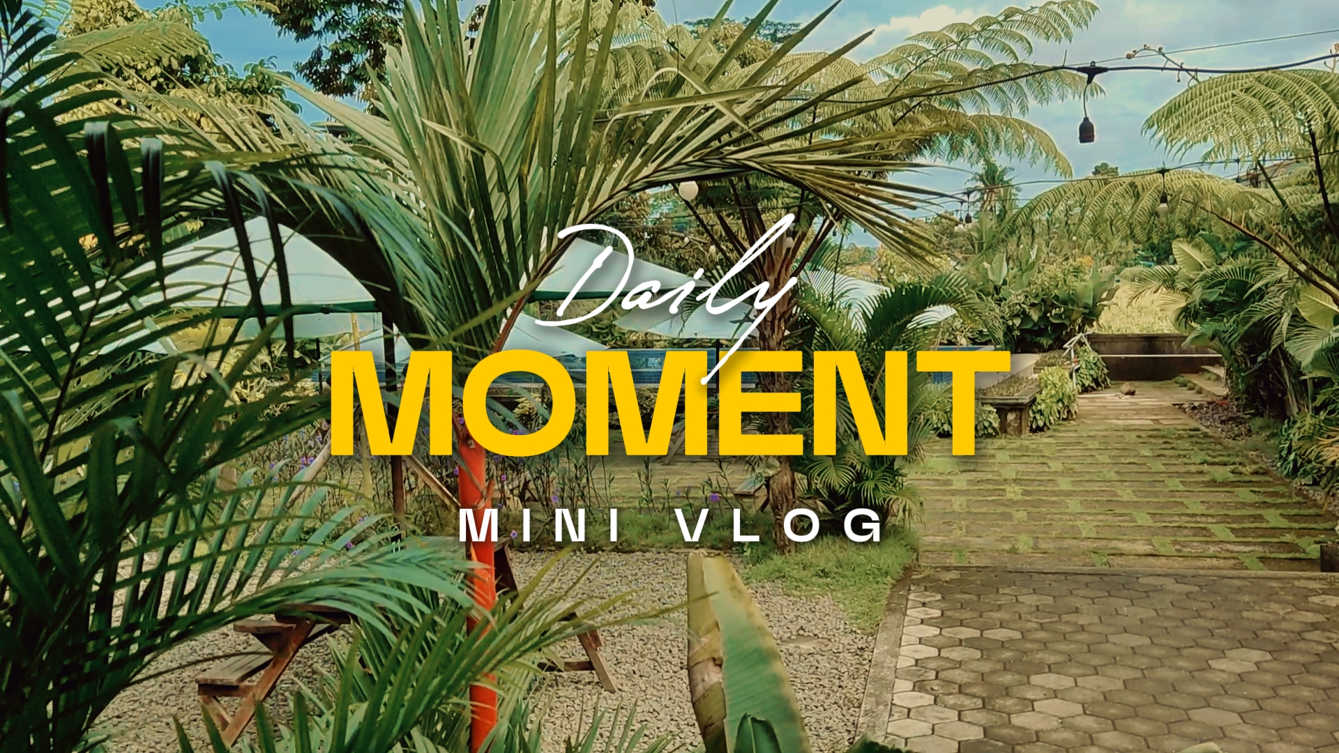 Vlog quotidien