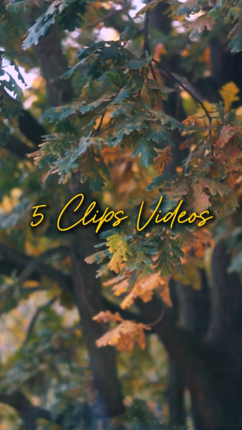 CINEMATIC 5 VIDEOS