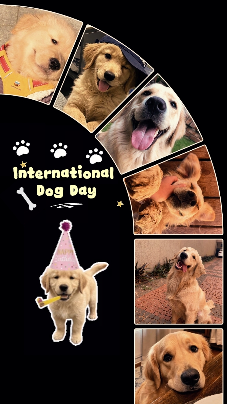 Dog Day