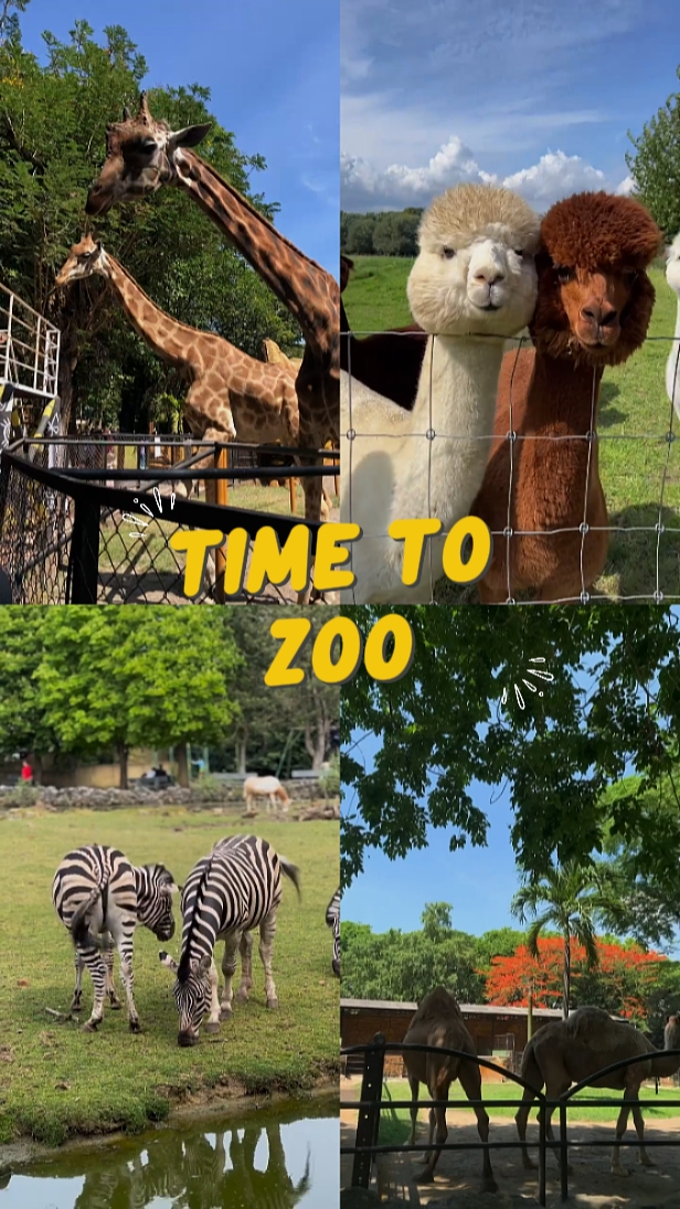 time to zoo