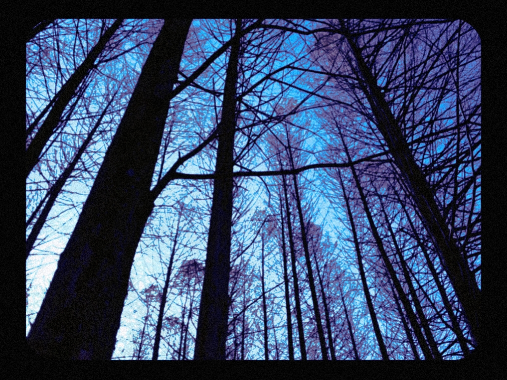 night film style 