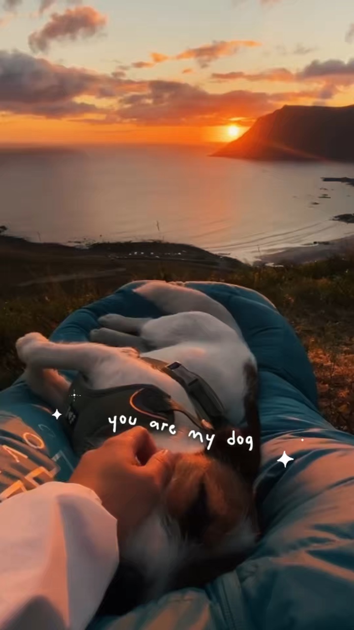 You are my dog