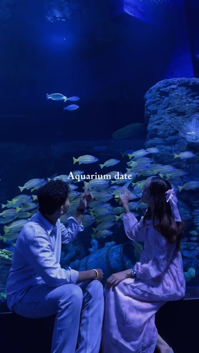 Data do aquário
