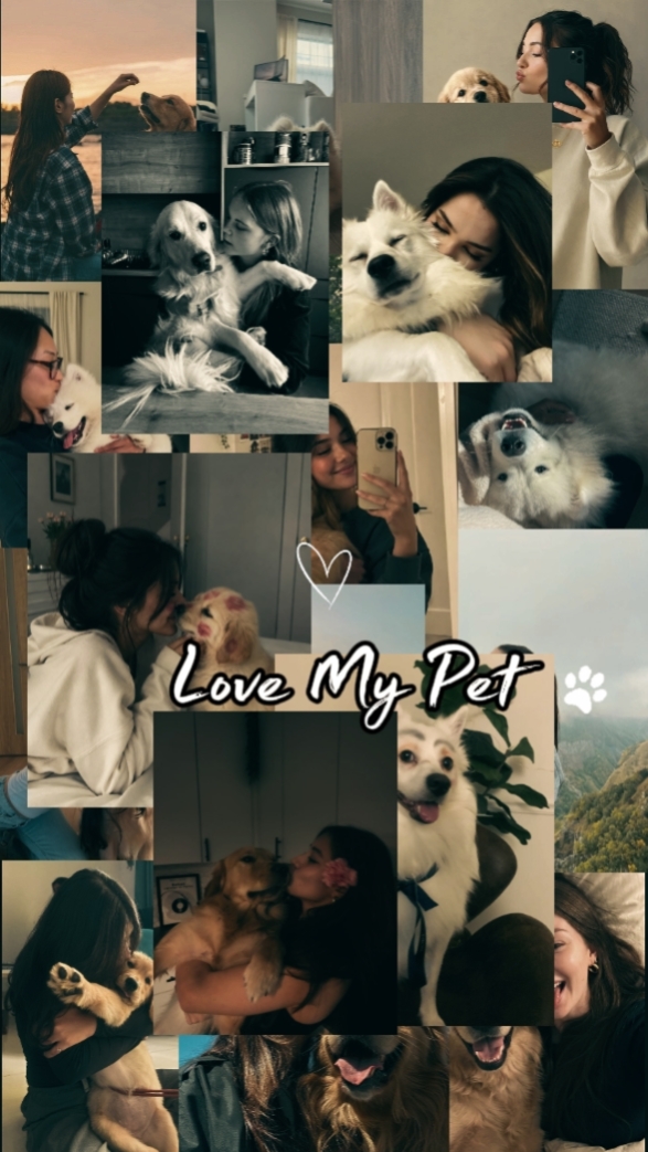 LOVE MY PET