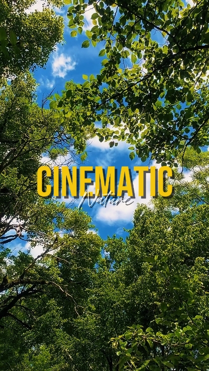 CINEMATIC NATURE