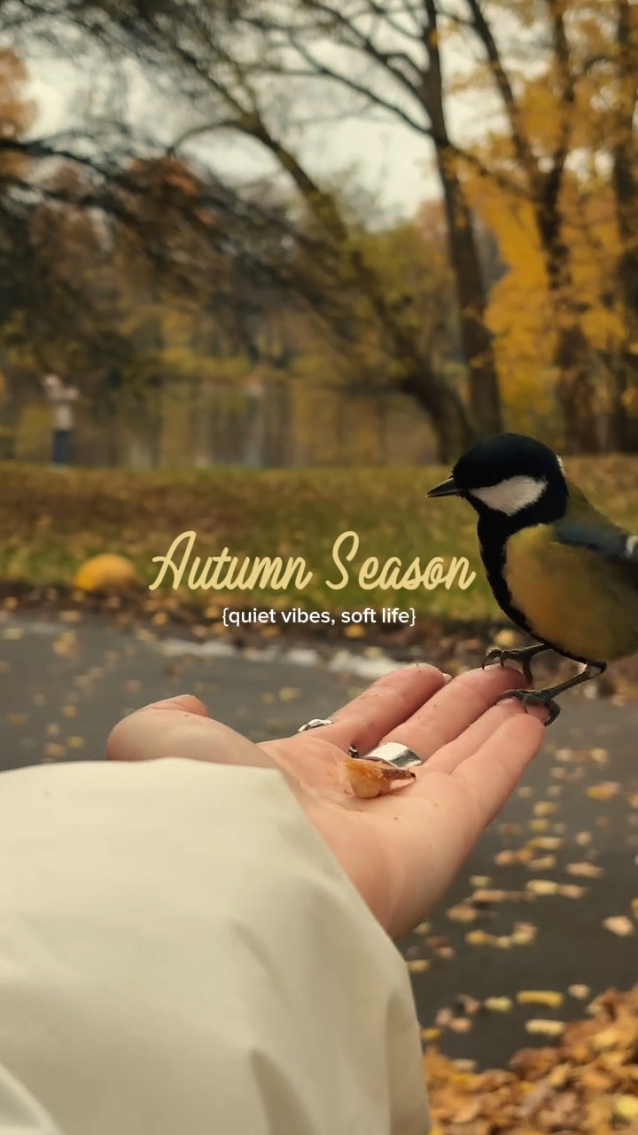 autumn soft life